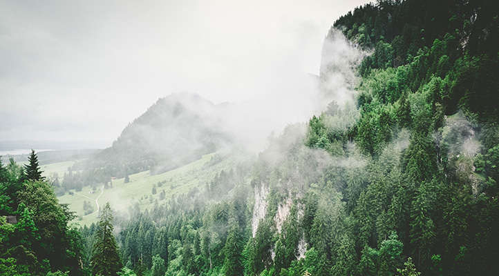 上海瑞欣裝飾材料有限公司